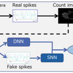 Our research about Energy Efficient Hand Gesture Recognition by Event camera + SNN presented at ITS European Congress 2020