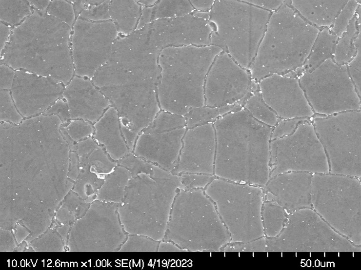 SEM micrograph of Mg based composite